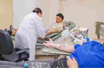 Junho Vermelho: Hemepar reforça pedido de doação de sangue dos tipos O+ e O-